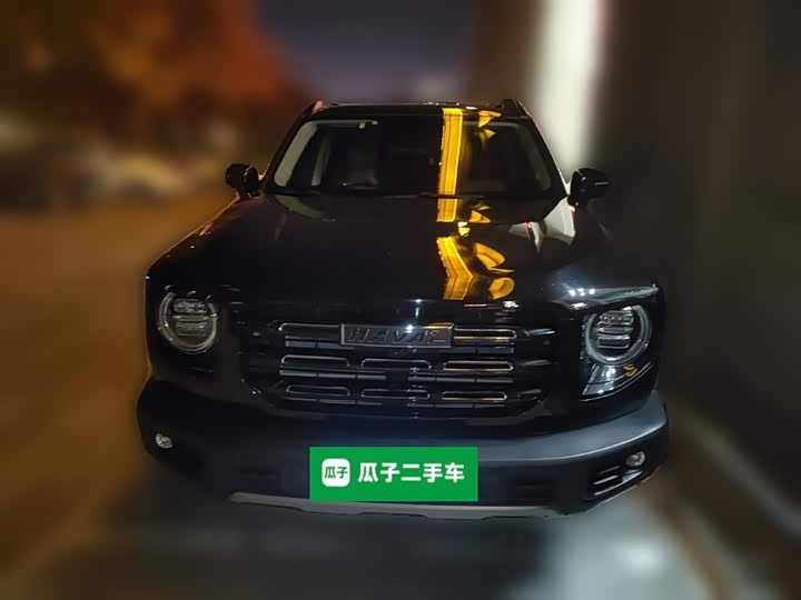 Фото 24 - Haval Dargo