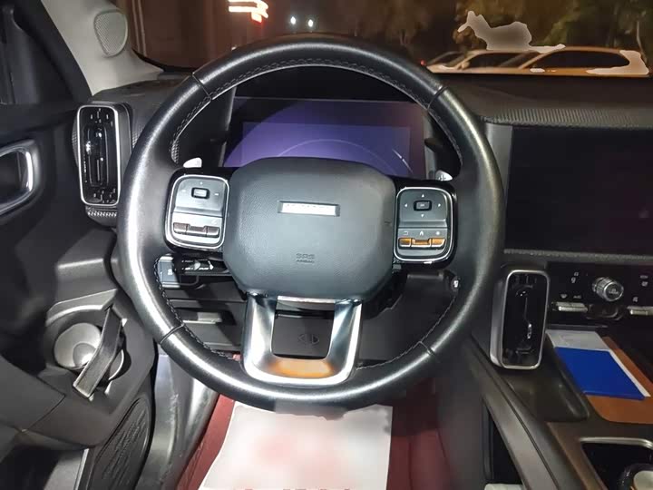 Фото 3 - Haval Dargo