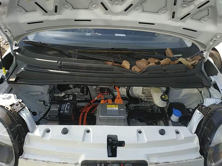 Фото 10 - Changan Qiyuan (Nevo) Lumin