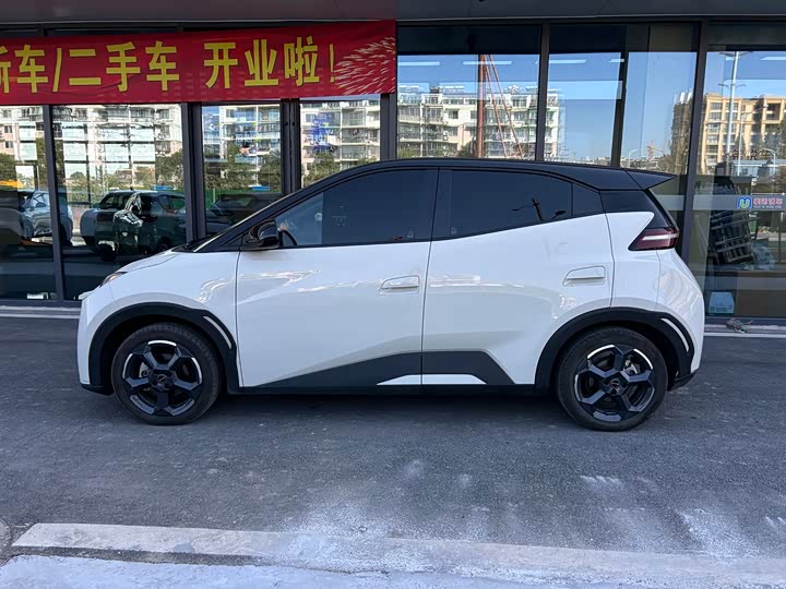 Фото 3 - BYD Seagull