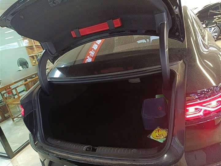 Фото 9 - BYD Han