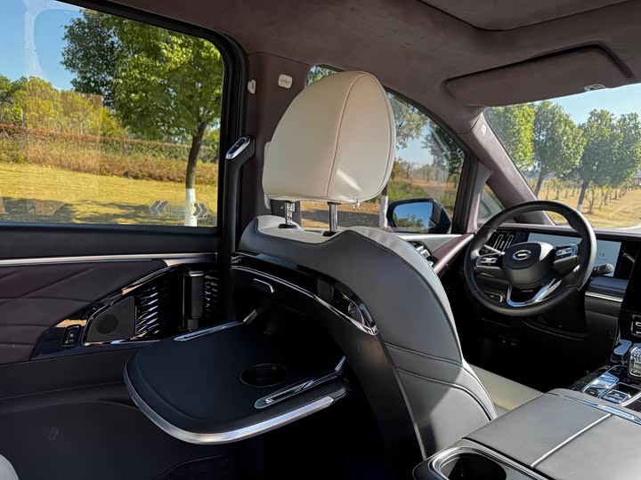 Фото 20 - GAC Trumpchi M8