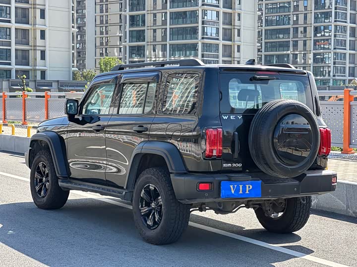 Фото 17 - Tank 300