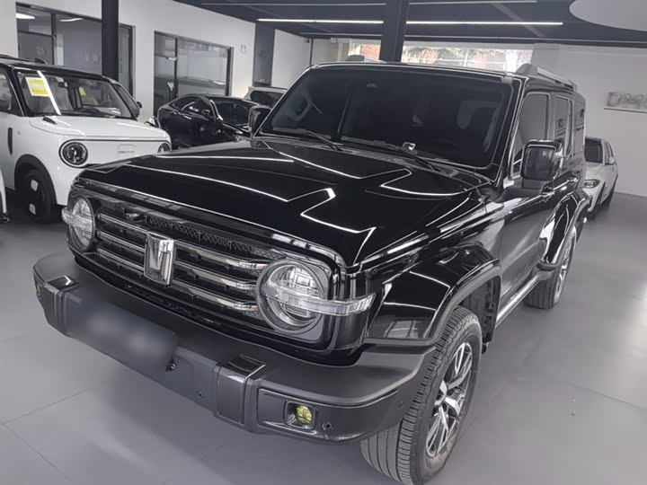 Фото 1 - Tank 300