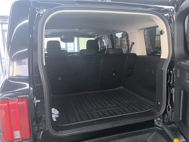 Фото 19 - Tank 300