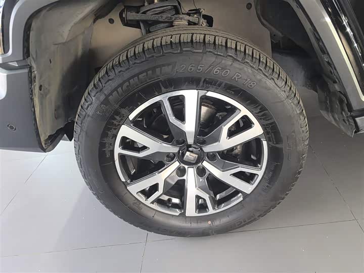 Фото 23 - Tank 300