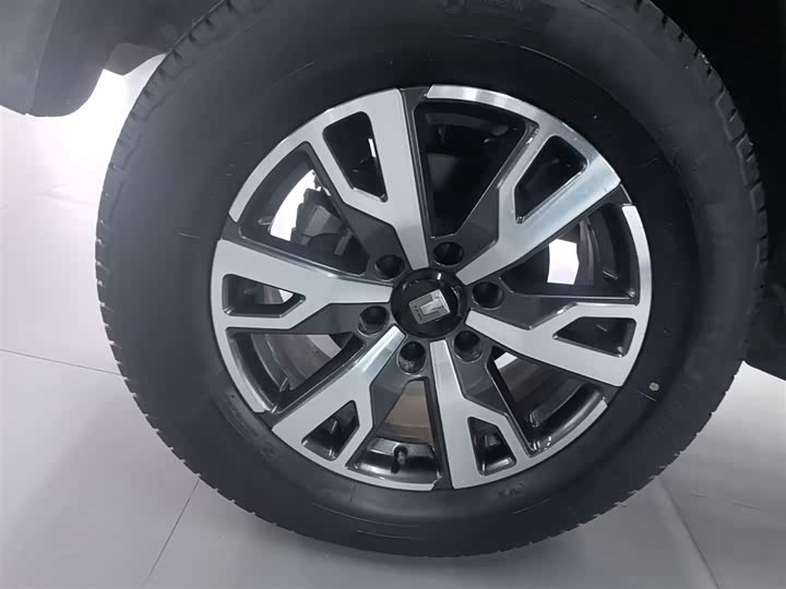 Фото 26 - Tank 300