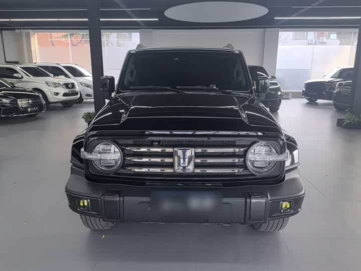 Фото 3 - Tank 300