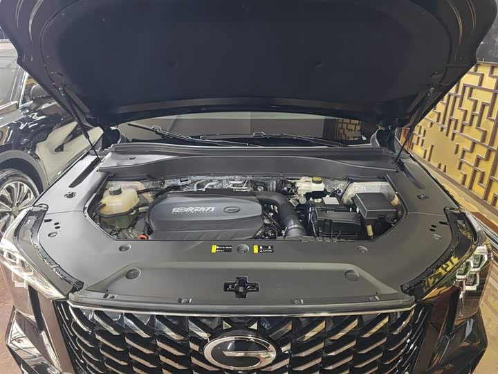 Фото 20 - GAC Trumpchi GS8