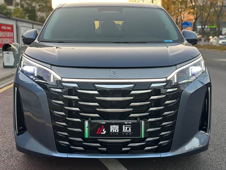 Фото 2 - BYD Xia