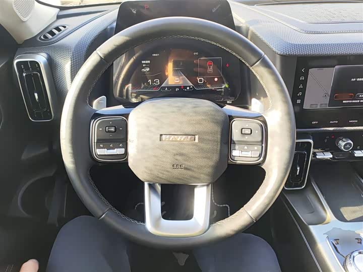 Фото 11 - Haval Dargo