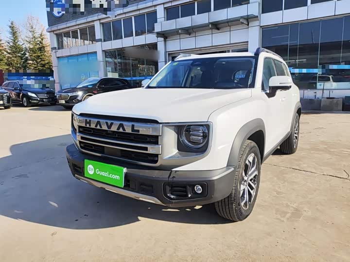 Фото 2 - Haval Dargo