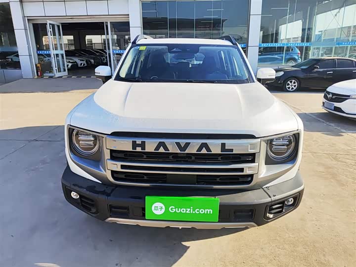 Фото 3 - Haval Dargo