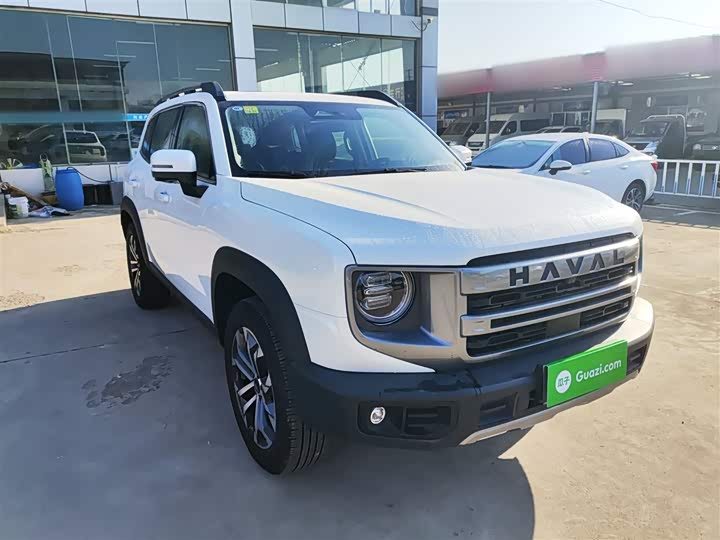 Фото 4 - Haval Dargo
