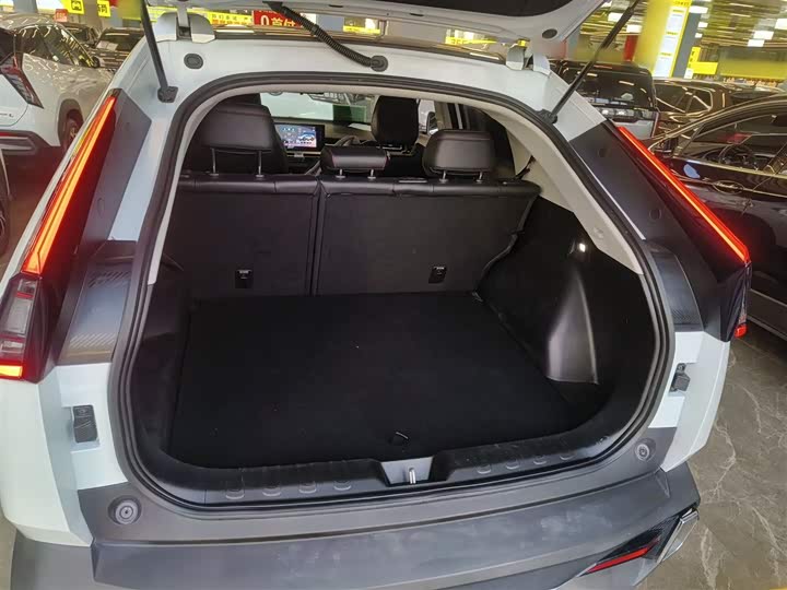 Фото 19 - GAC Trumpchi Emkoo