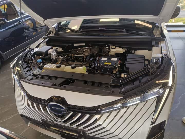 Фото 20 - GAC Trumpchi Emkoo