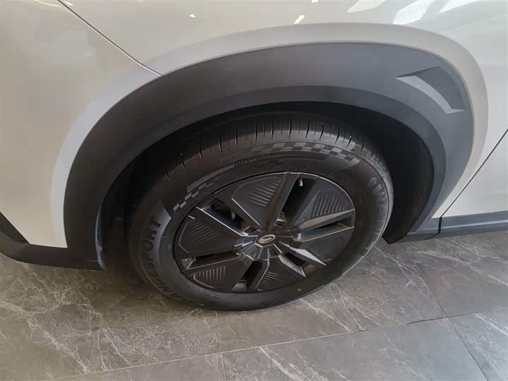 Фото 23 - GAC Trumpchi Emkoo