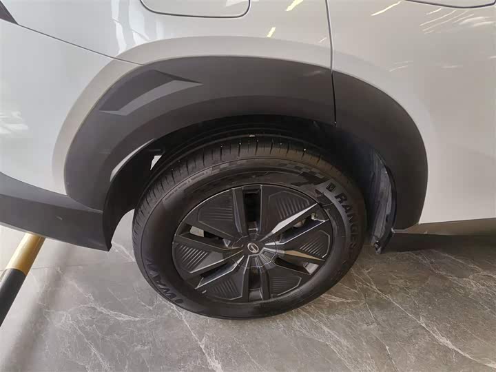 Фото 26 - GAC Trumpchi Emkoo