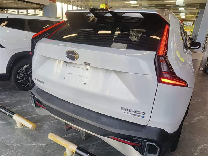 Фото 6 - GAC Trumpchi Emkoo