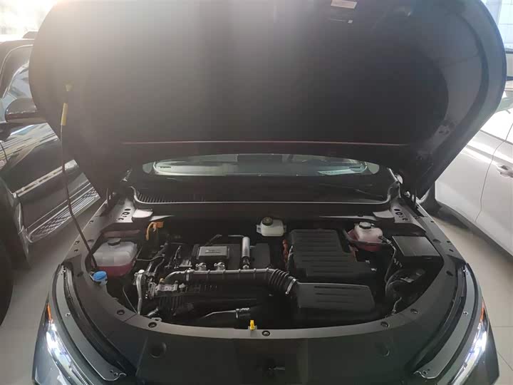 Фото 10 - BYD Qin L