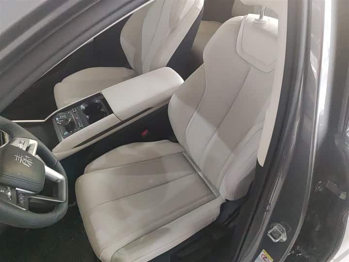 Фото 7 - BYD Qin L