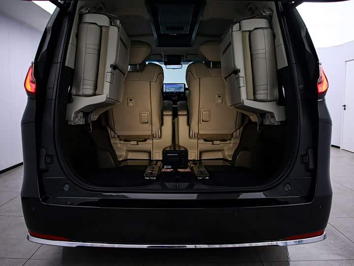 Фото 16 - Lexus LM