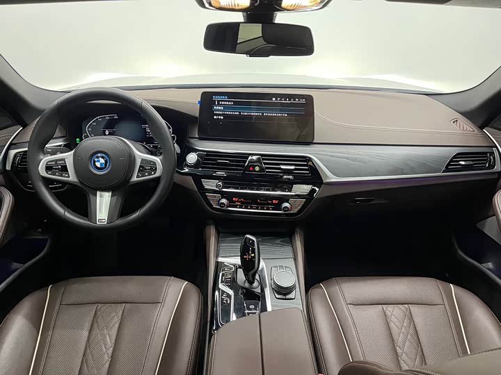 Фото 12 - BMW 5 Series Hybrid