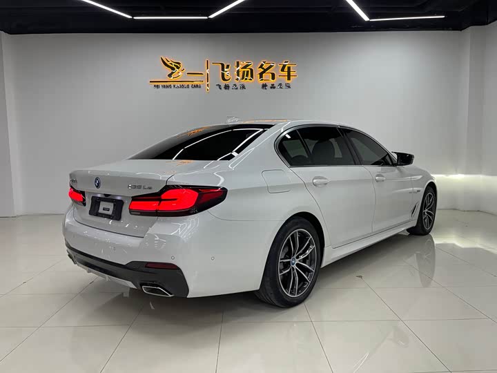 Фото 17 - BMW 5 Series Hybrid