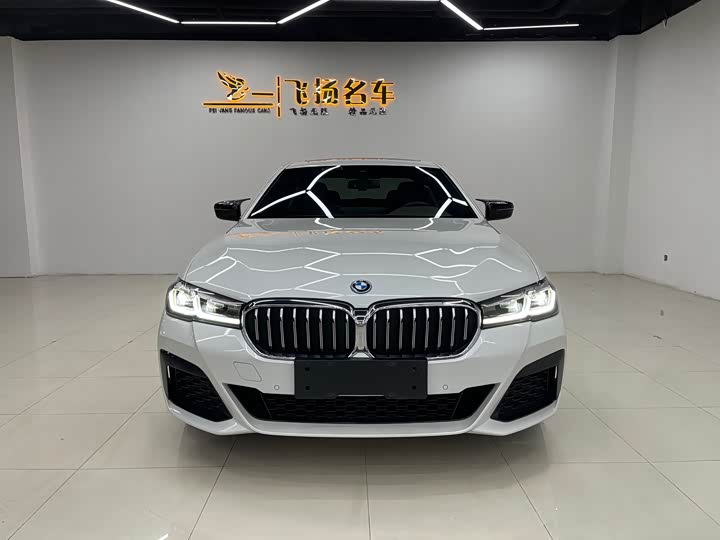 Фото 2 - BMW 5 Series Hybrid