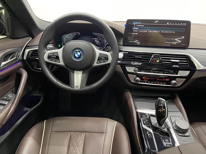 Фото 8 - BMW 5 Series Hybrid
