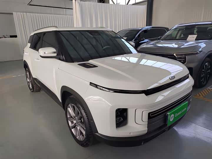 Фото 4 - Geely Icon