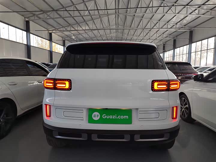 Фото 6 - Geely Icon