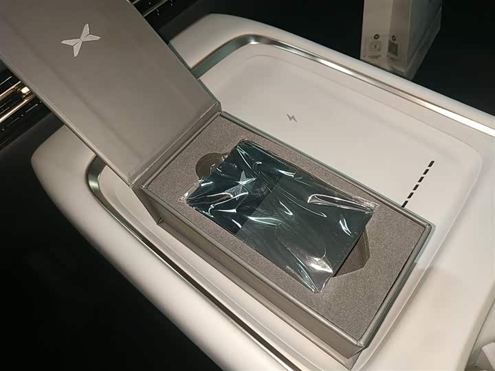 Фото 9 - XPeng F57