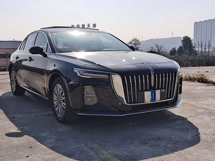 Фото 3 - Hongqi H5