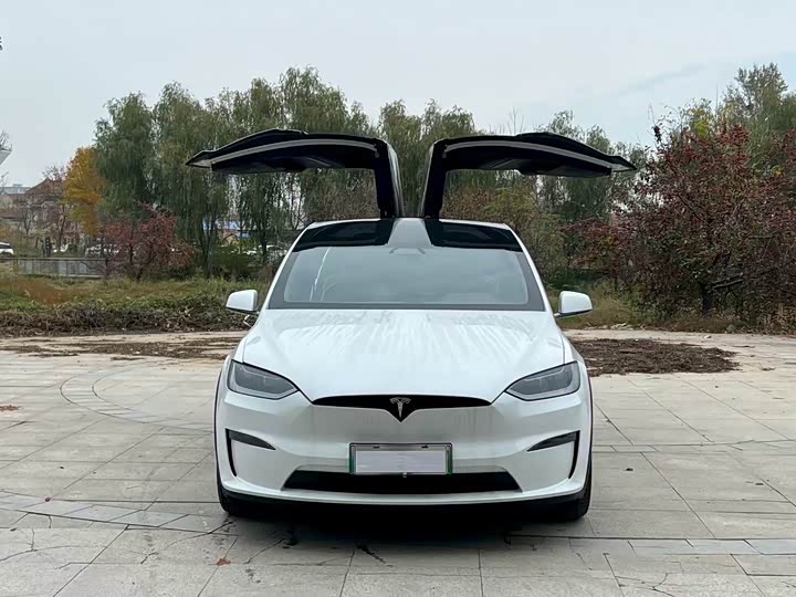 Фото 1 - Tesla Model X