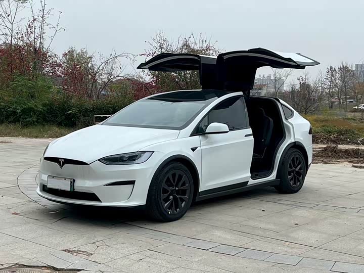 Фото 2 - Tesla Model X