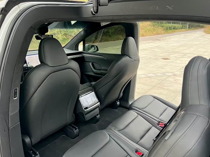 Фото 4 - Tesla Model X