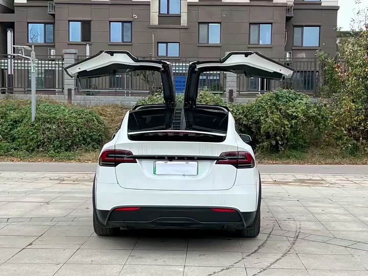 Фото 8 - Tesla Model X