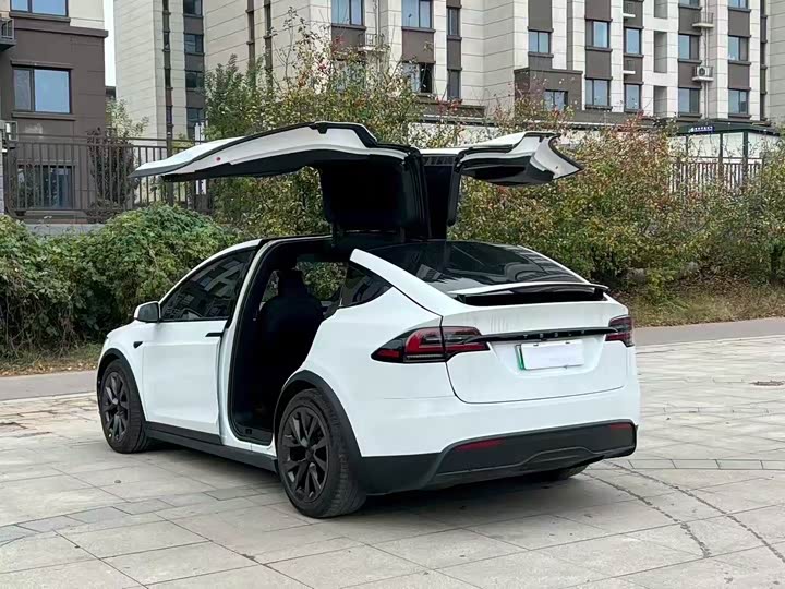 Фото 9 - Tesla Model X