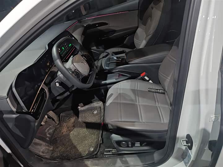 Фото 15 - Hongqi EH7