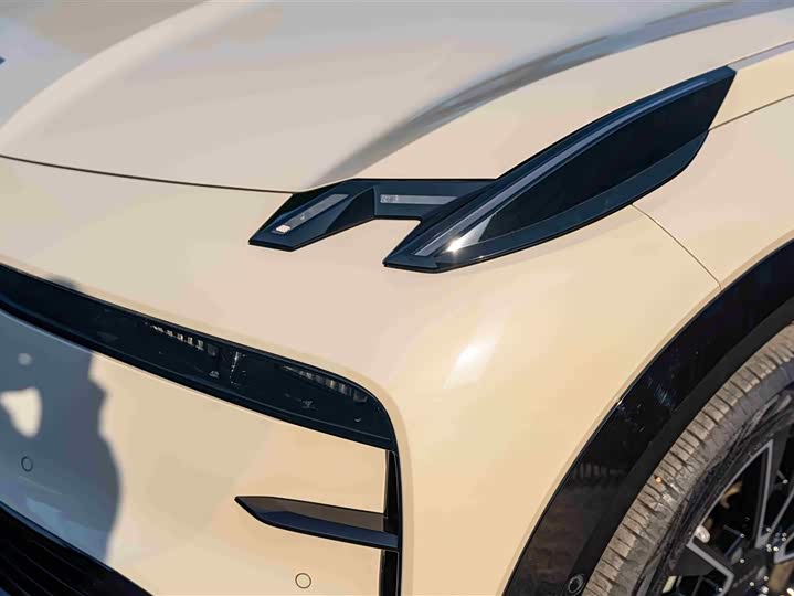Фото 8 - Zeekr X