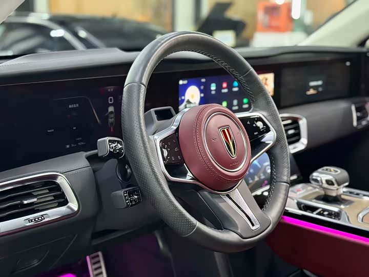 Фото 4 - Hongqi E-HS9