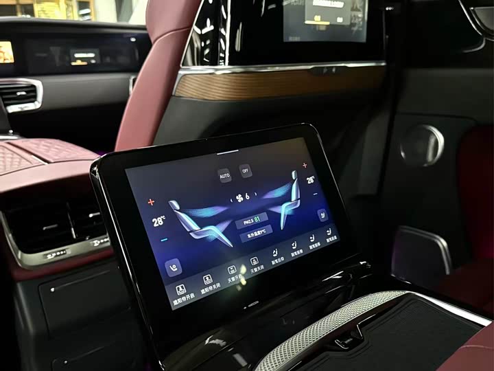 Фото 5 - Hongqi E-HS9