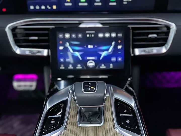 Фото 6 - Hongqi E-HS9