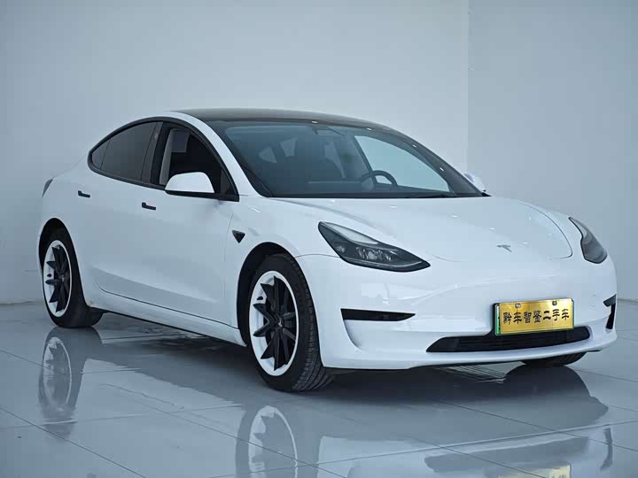 Фото 3 - Tesla Model 3