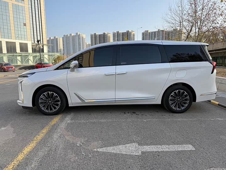 Фото 4 - Buick GL8 ES