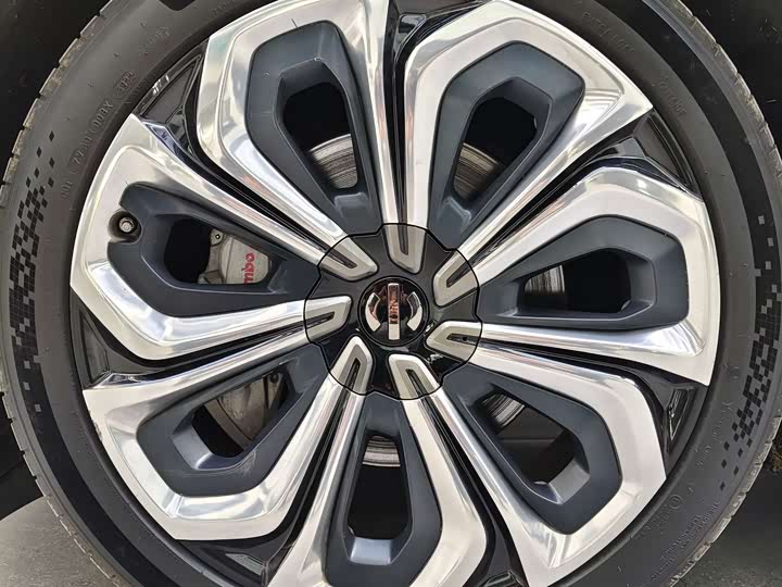 Фото 14 - HiPhi X