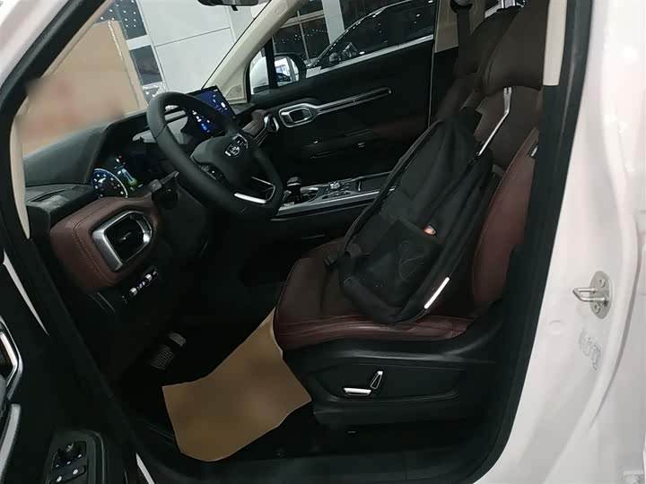 Фото 15 - Geely Okavango