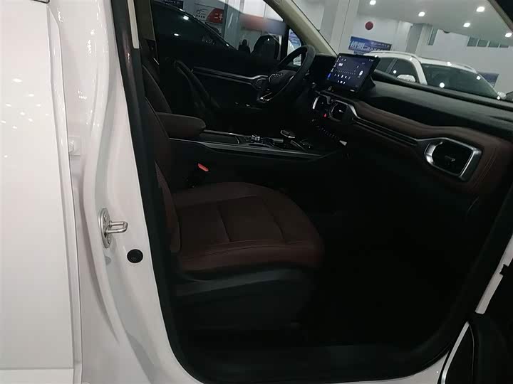 Фото 25 - Geely Okavango