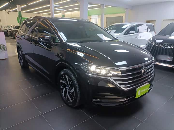 Фото 4 - Volkswagen Viloran